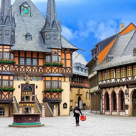 Granetal Quartier-apartment Waldluft Goslar